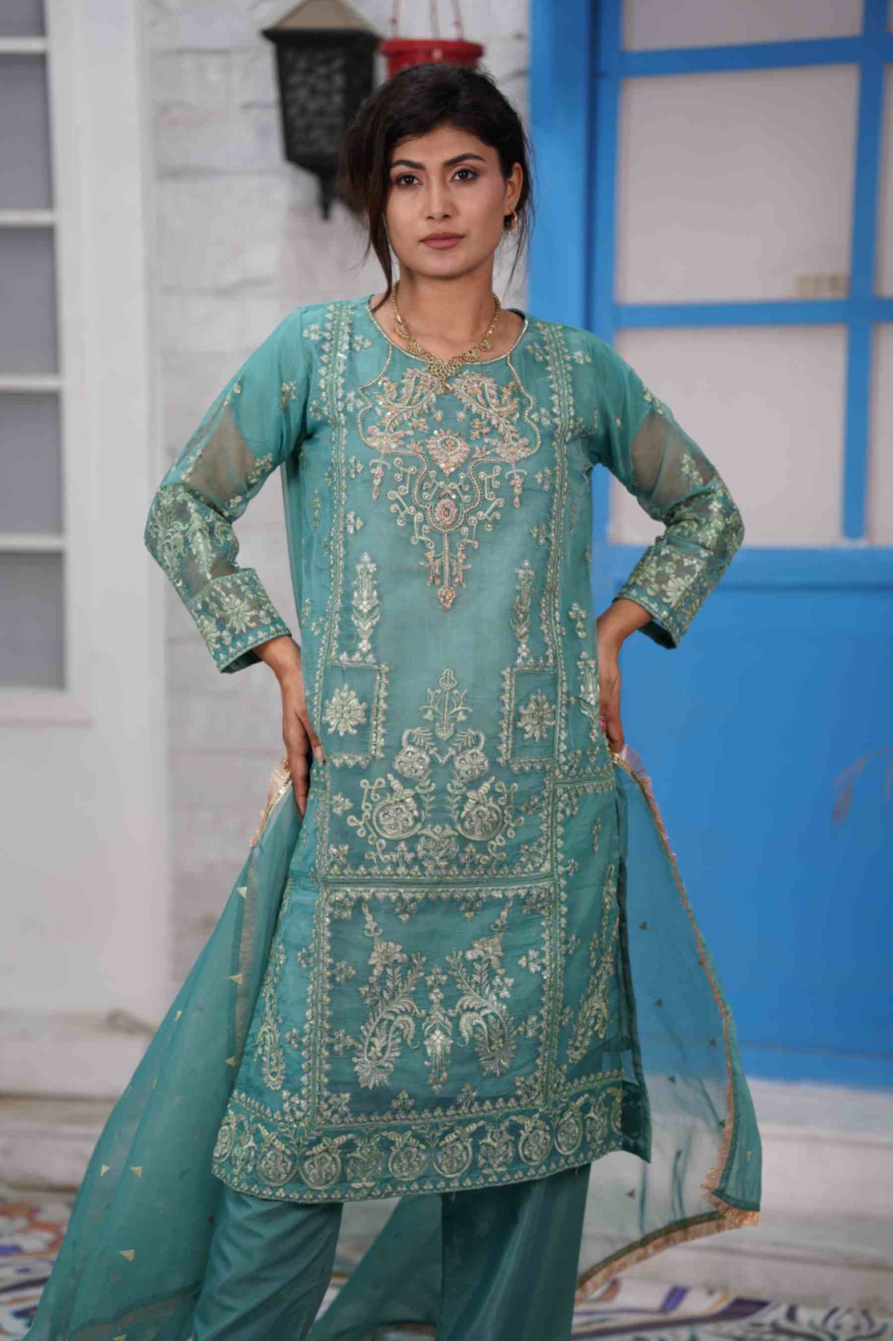 EMBROIDED ORGANZA OUTFIT | TK-0382