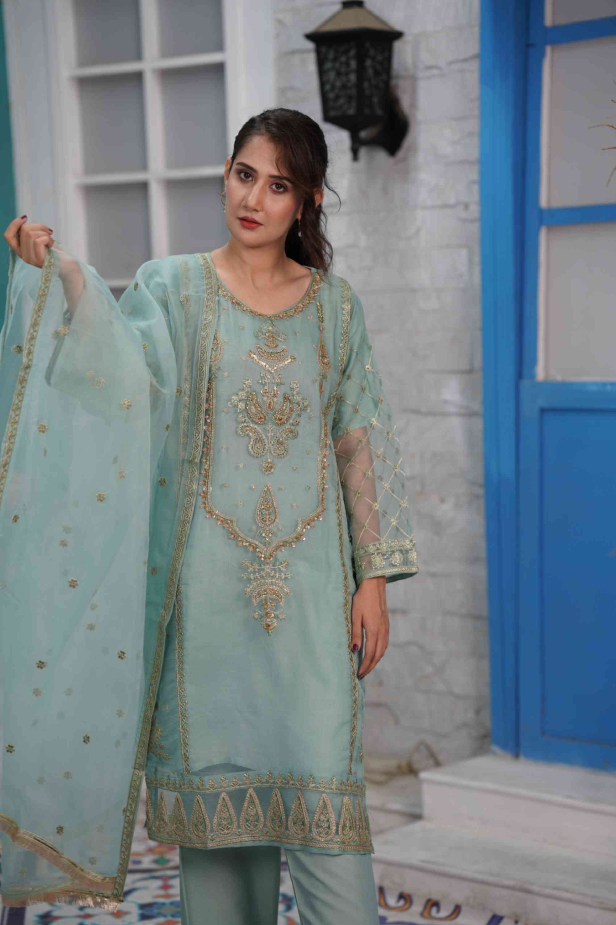 EMBROIDERED ORGANZA OUTFIT | TK-0380