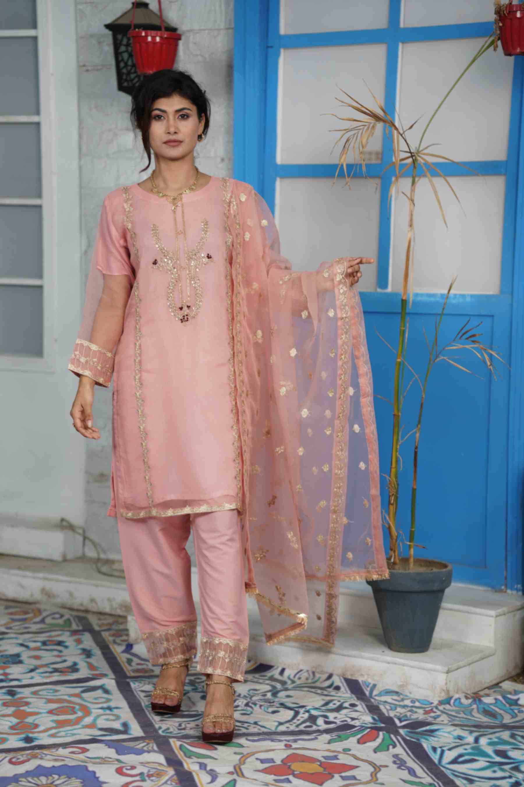 EMBROIDED ORGANZA OUTFIT | TK-0222