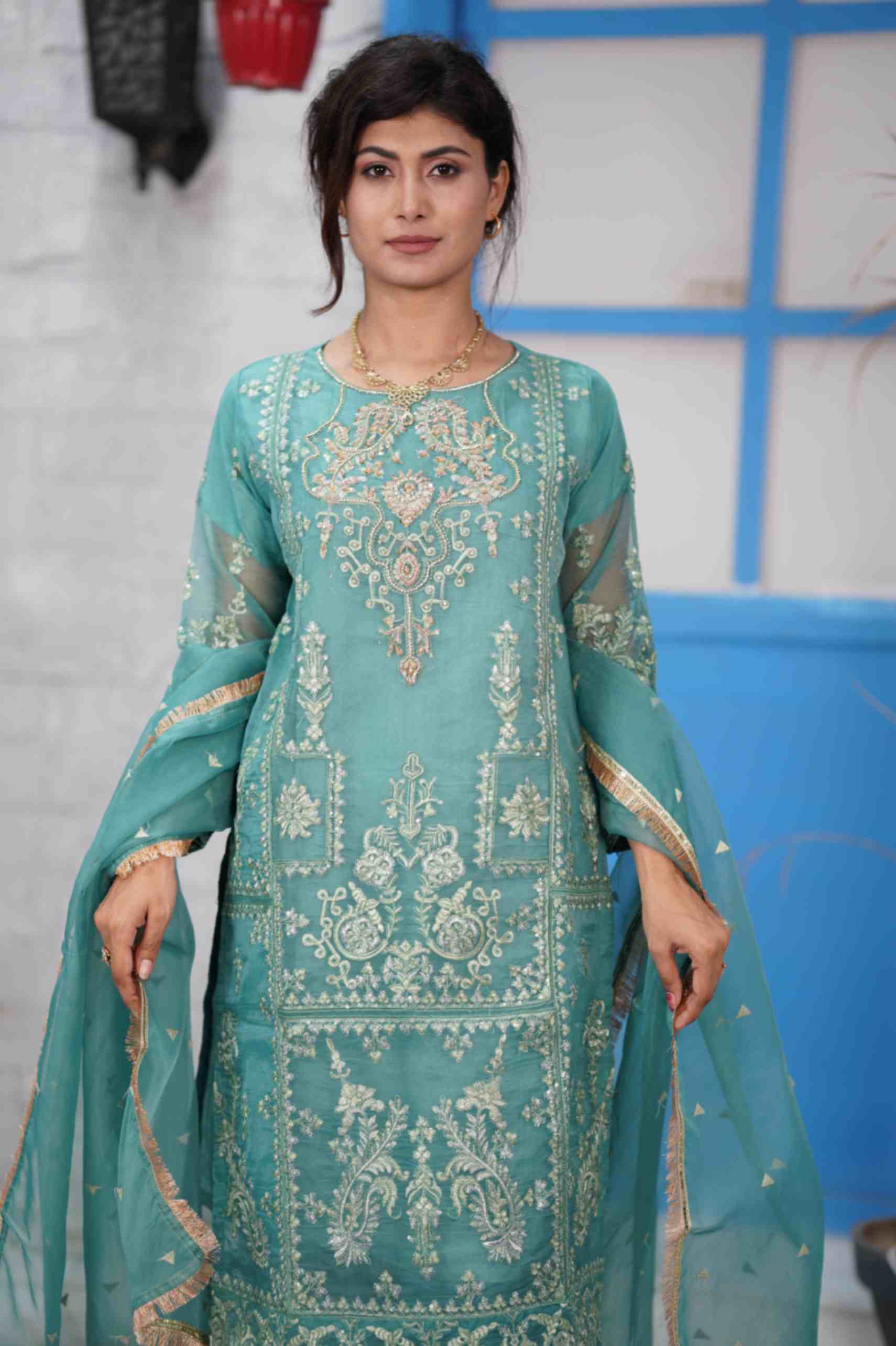 EMBROIDED ORGANZA OUTFIT | TK-0382