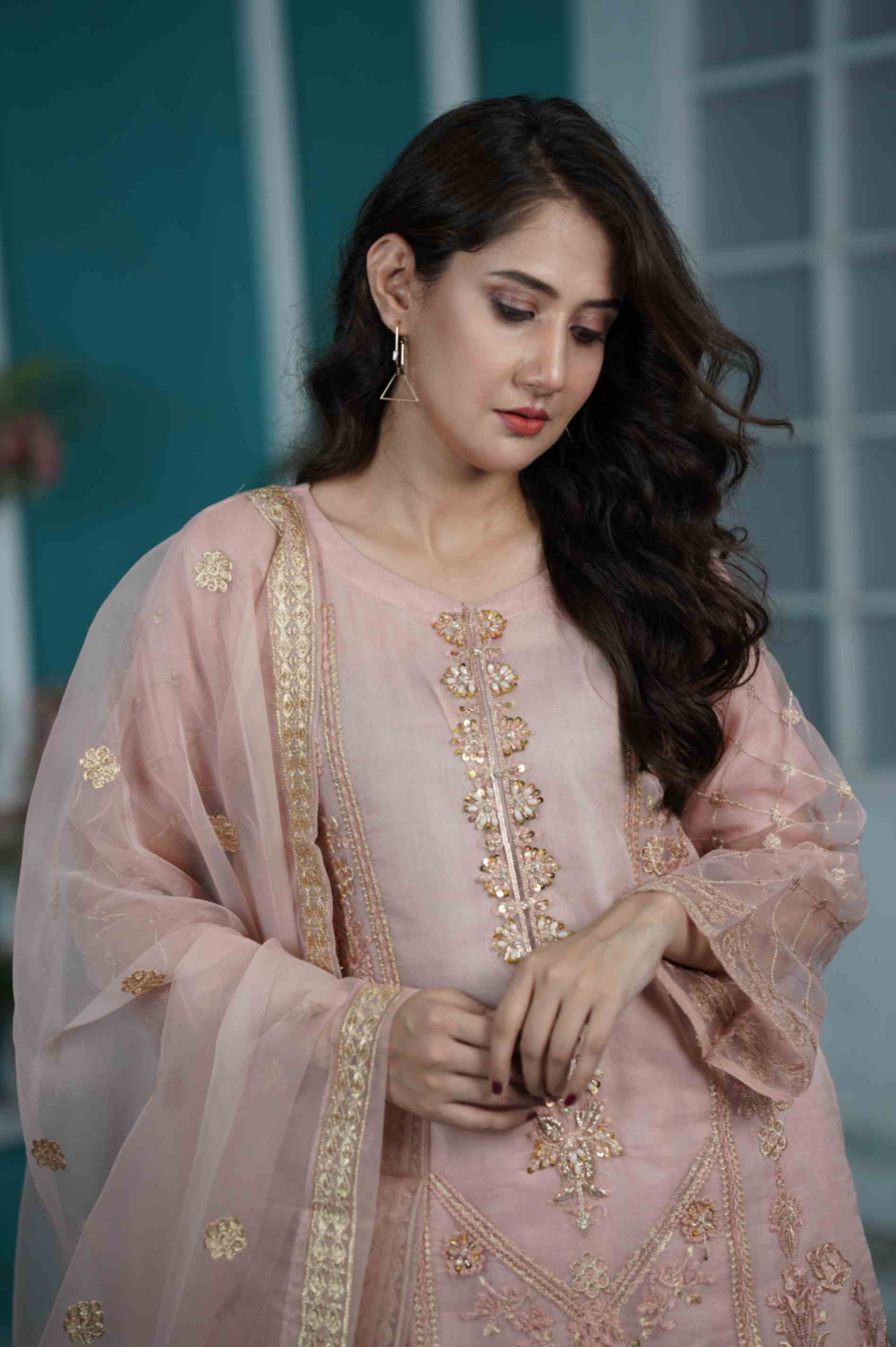 EMBROIDERED ORGANZA OUTFIT | TK-0420